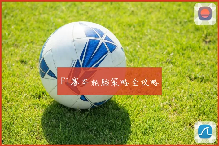 F1赛车轮胎策略全攻略