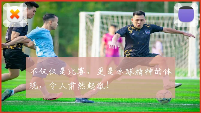 不仅仅是比赛，更是冰球精神的体现，令人肃然起敬！